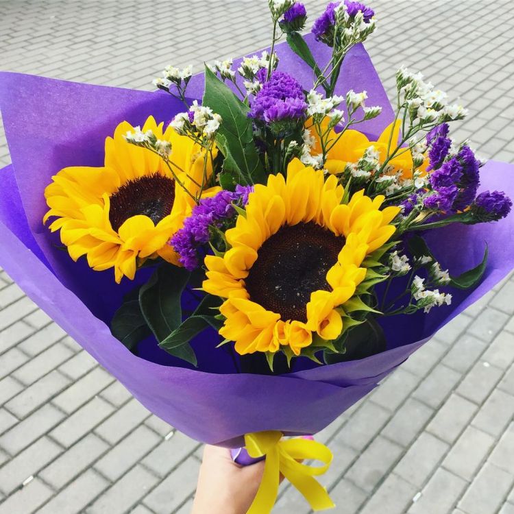 Чудо остров от 5 700 руб.