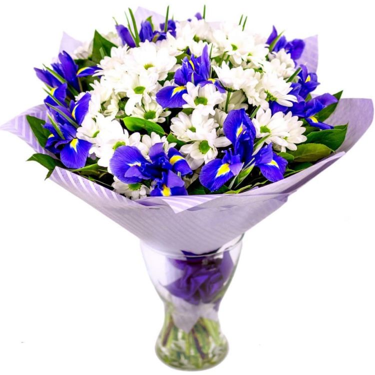 Океан от 9 400 руб.